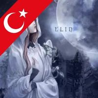 Turkish Language