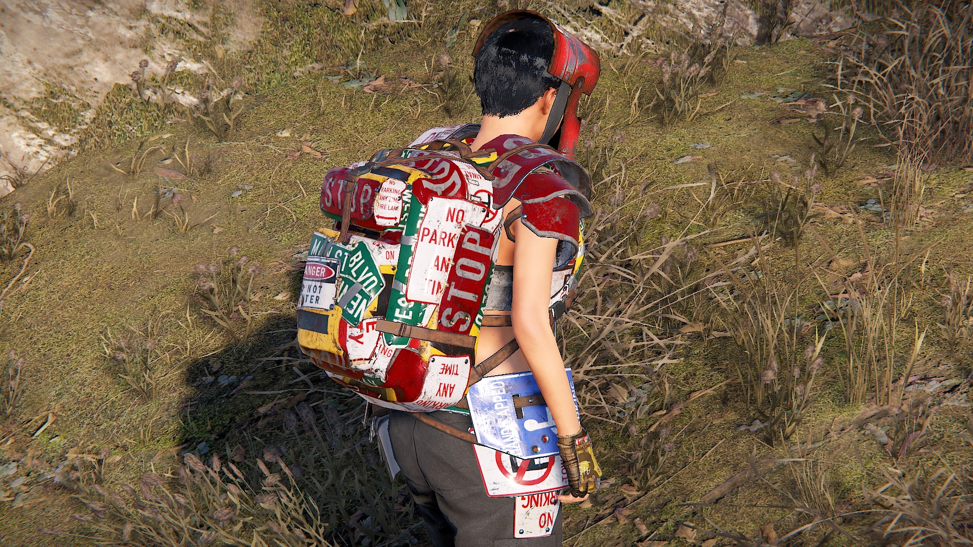 Roadsign Large Backpack thumbnail 5