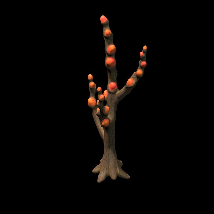 Fey_Plant (14)
