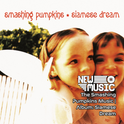 The Smashing Pumpkins Music | Album: Siamese Dream – Project Zomboid Mod