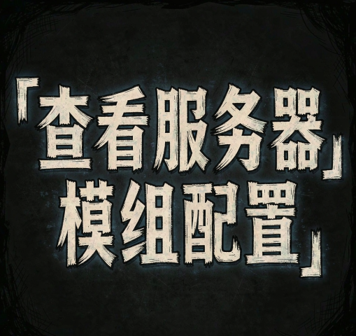 查看服务器模组配置[客户端]