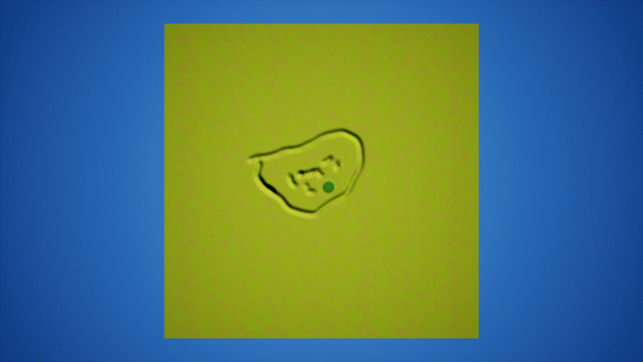 Tiger Tutorial Coaster