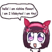 Nishino flower world preview