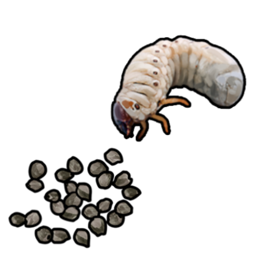 Grub Seed