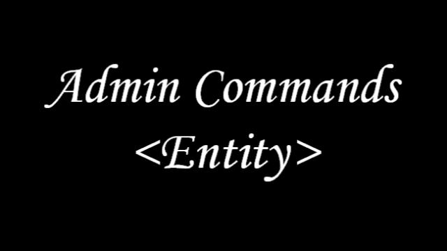 Admin Commands <Entity>