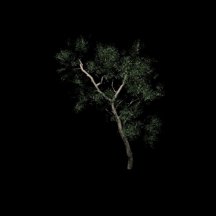 Tree 1