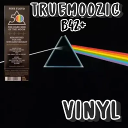TrueMoozic - PinkFloydDS - VINYL B42+