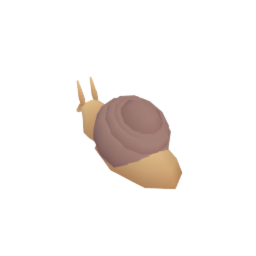 Marine Snail