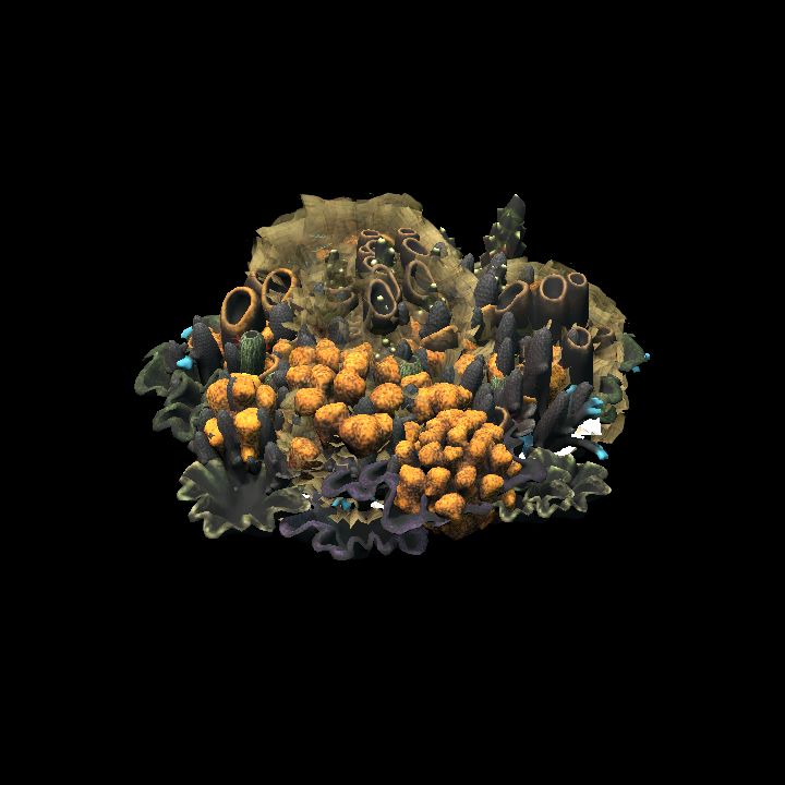 CoralGroup