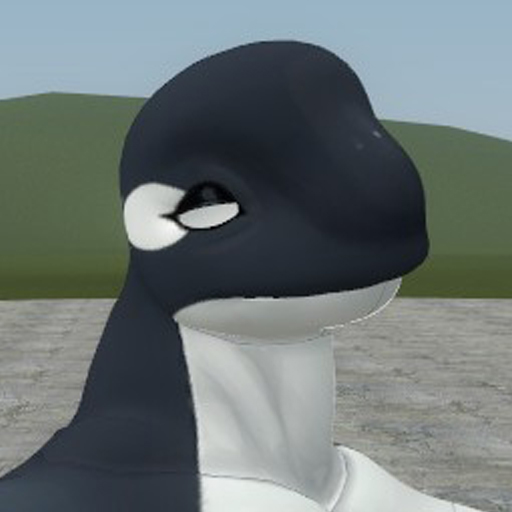 Orca - Player Model
