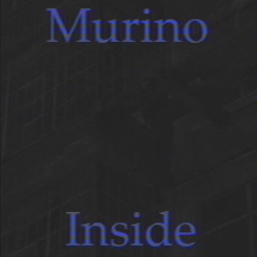 Murino Inside