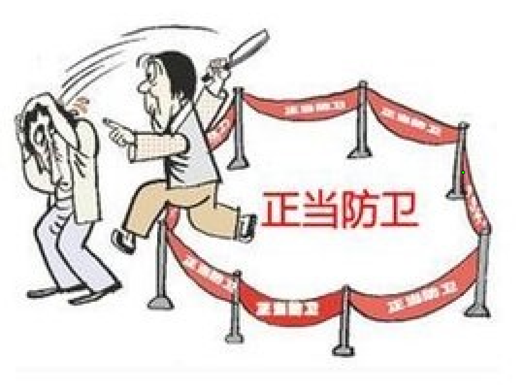 《正当防卫指南》 preview