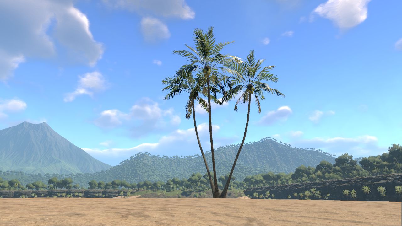Coconut Palm Triple