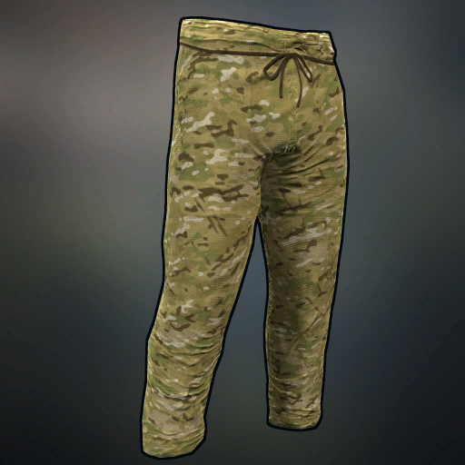 MultiCam