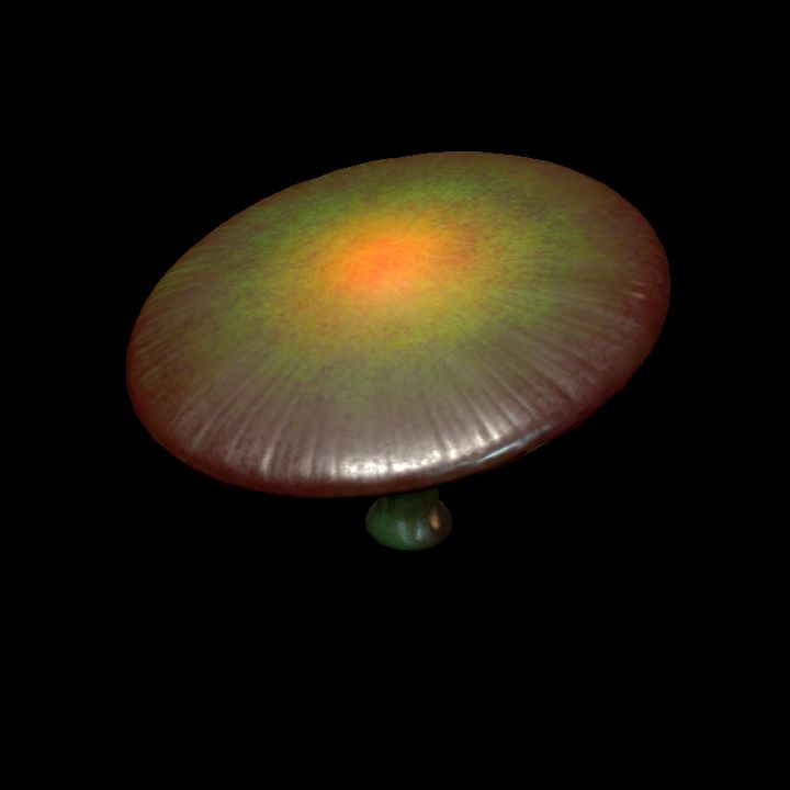 Mushroom_Middle_1_2