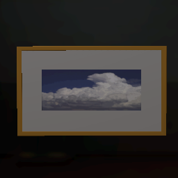 Framed Picture 15