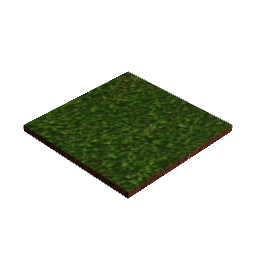 Grass Paving Surface - 25cm x 25cm