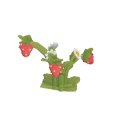 Strawberry plant