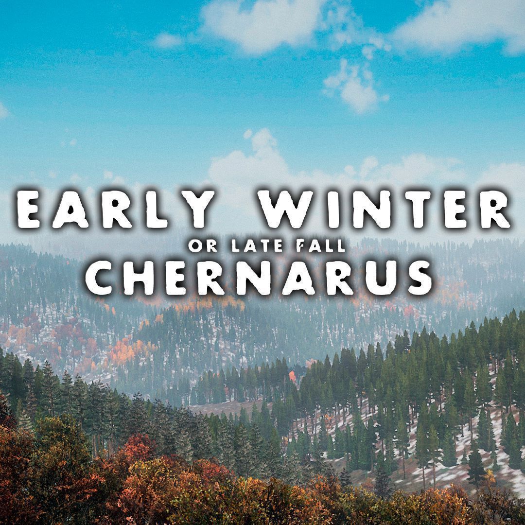 Early Winter or late Fall in Chernarus