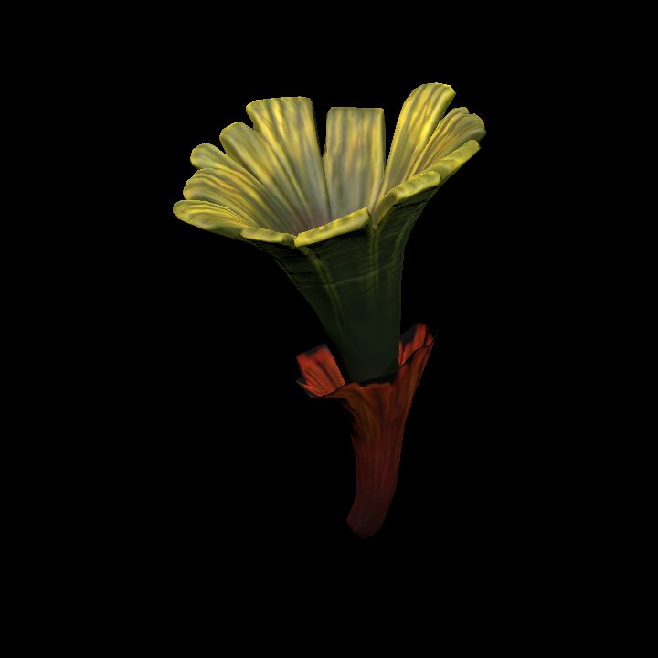 Mushroom_26