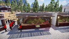 Modern Small Vivarium preview