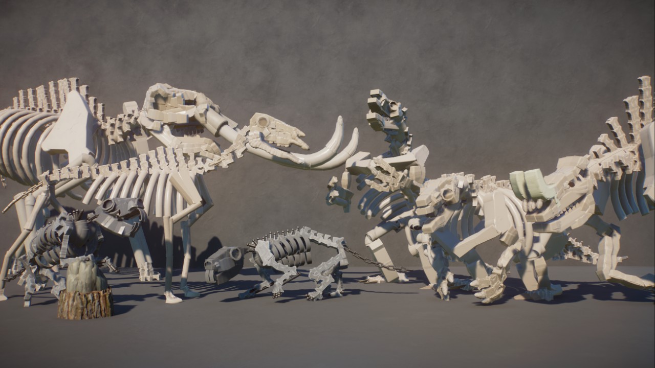 North American Megafauna Fossils