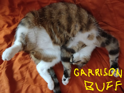 Garrisoned Armies Buffs +++ Only