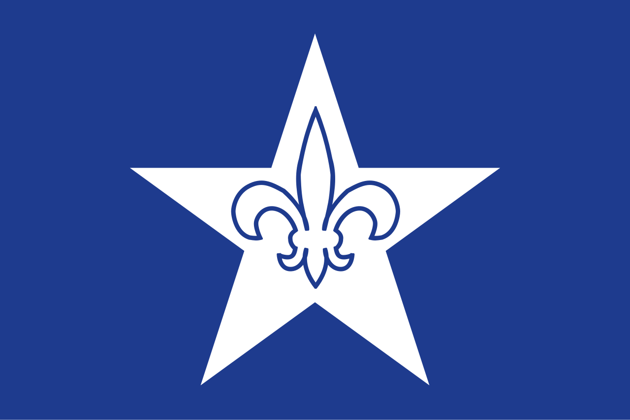 Franco-American Flag preview