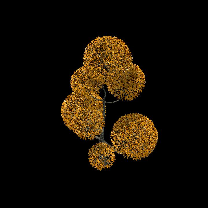 Fantasy Tree Orange