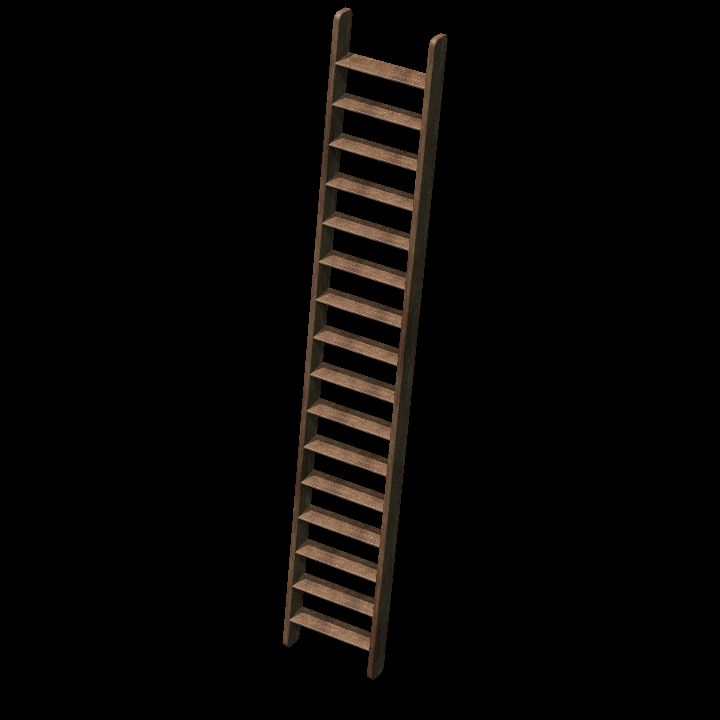 Ladder 2 floors