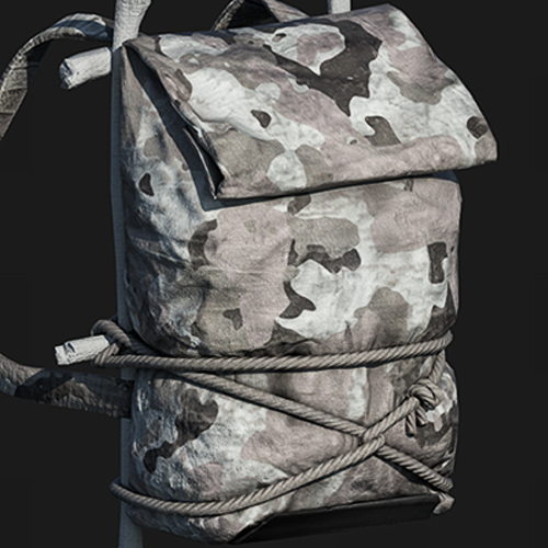 Arctic Protection Small Backpack
