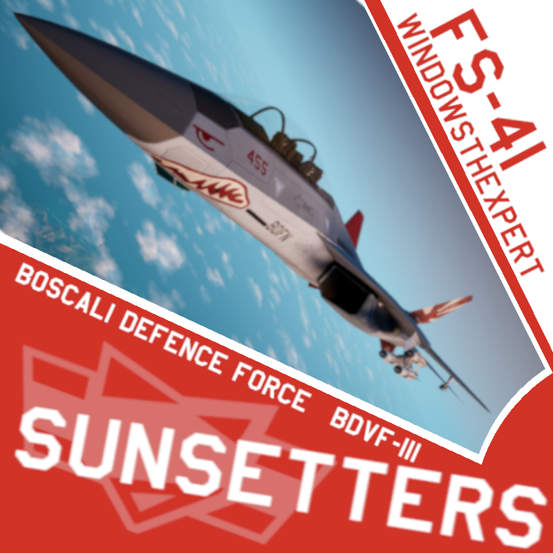 FS-41 BDFN VF-111 "Sunsetters"