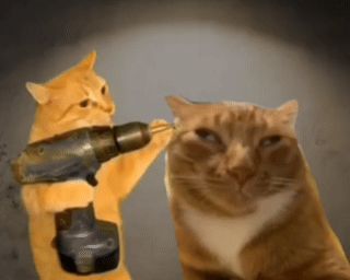MST_TESTIKUS