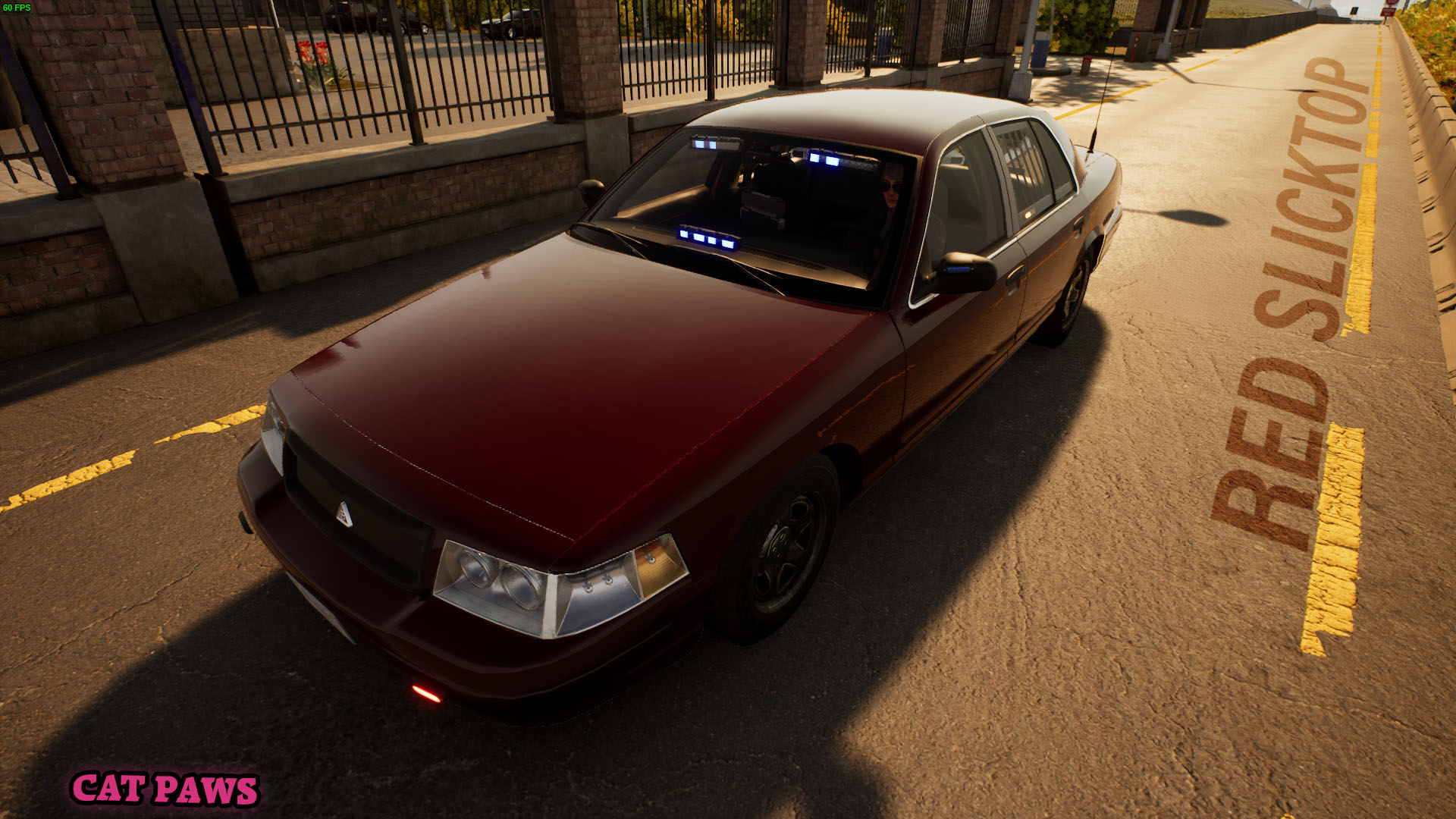Dark Red Unmarked Skins