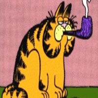 GARFIELD FAT