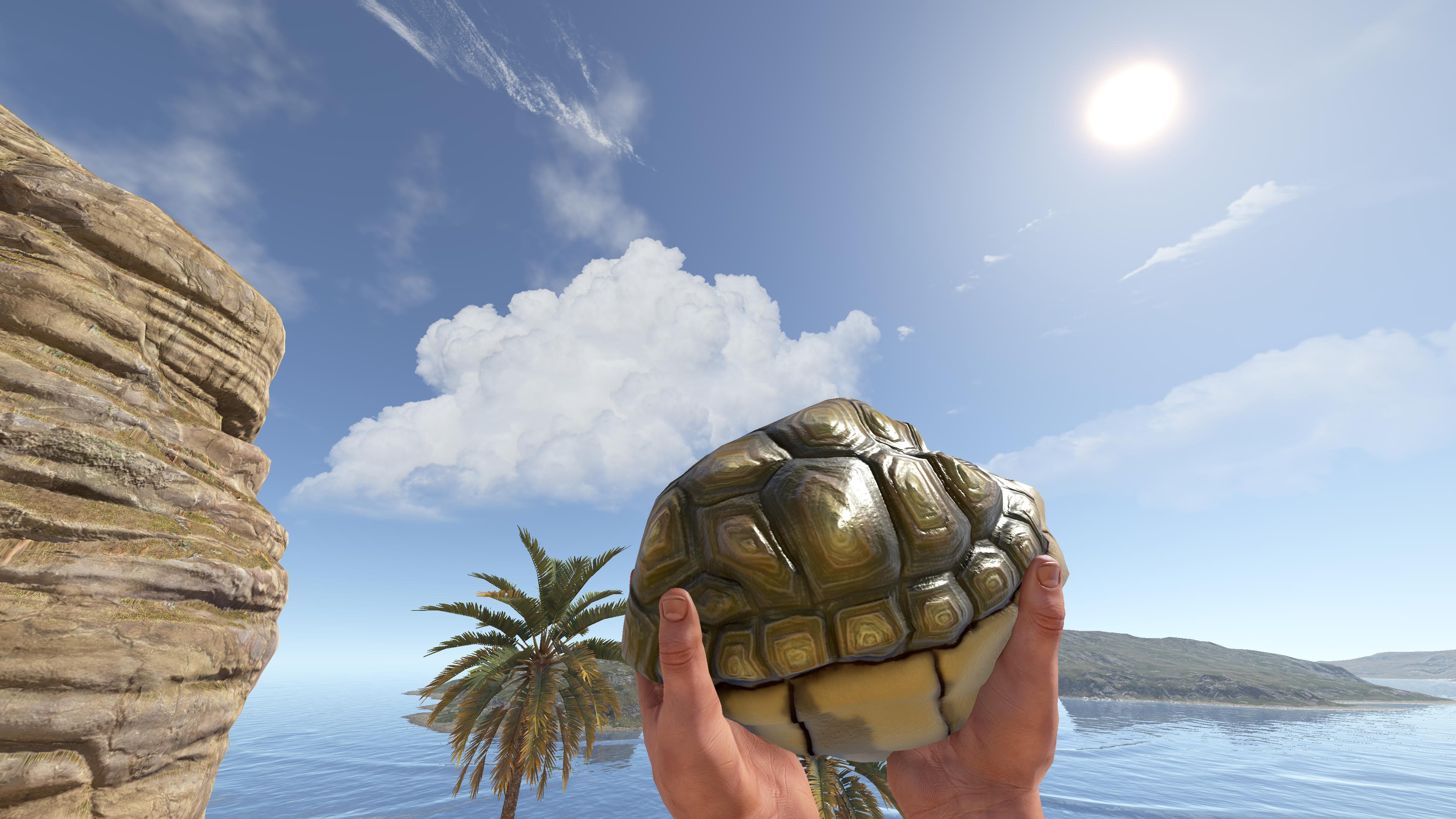 Tortoise Rock thumbnail 6