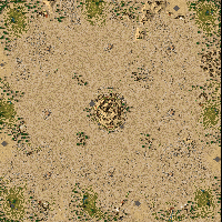 The Great Killing Plains