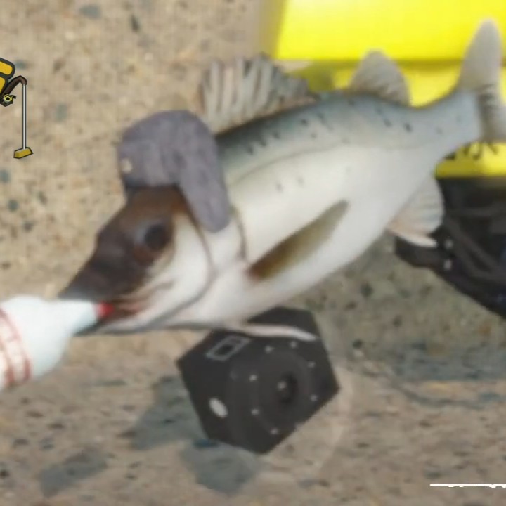 俄鱸斯硬魚