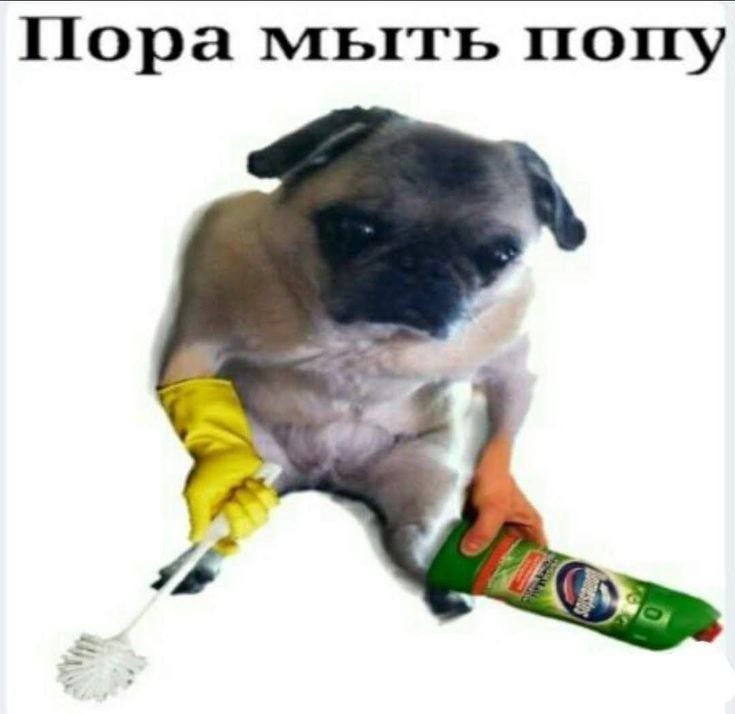 Бункерные приколы