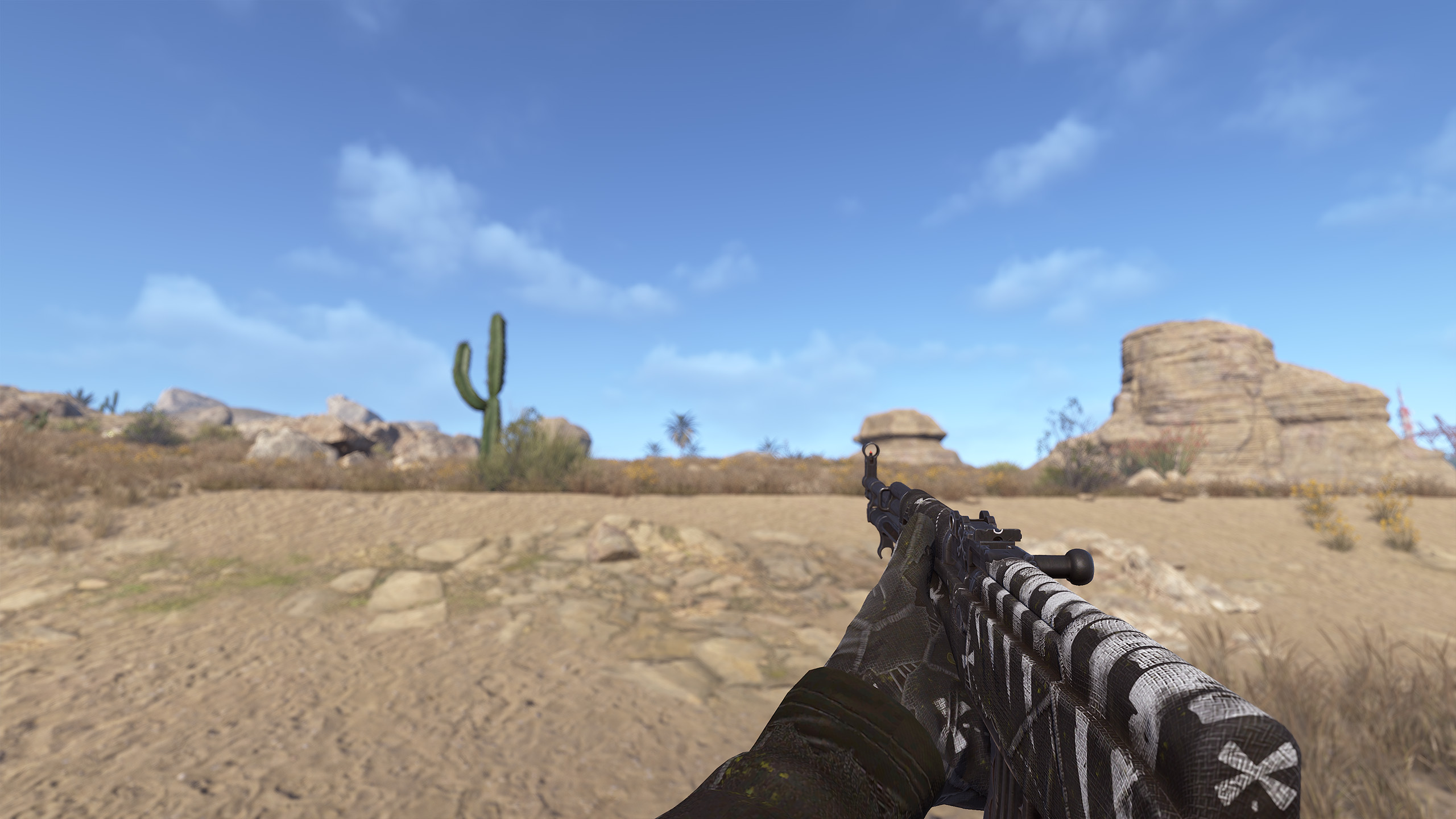 Pirate SKS thumbnail 9