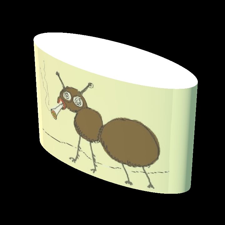 Doob Ant Ovoid