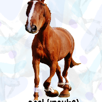 ghost's horsey world