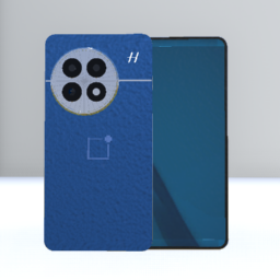 2025 OnePlus 13