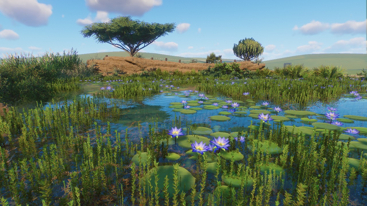 Natural Pond 7