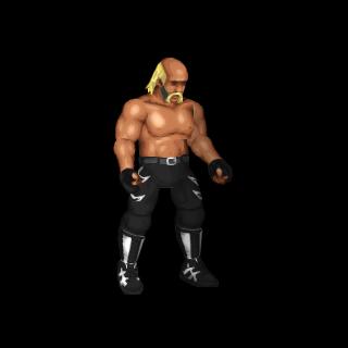 Hollywood Hogan