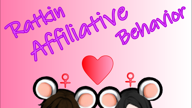 Ratkin Affiliative Behavior