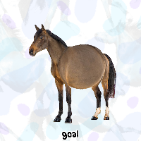 hors