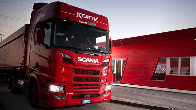 Combo Skin Koine Transport Srl