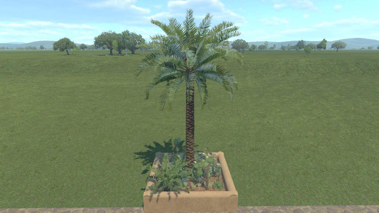 Small Planter Desert 01