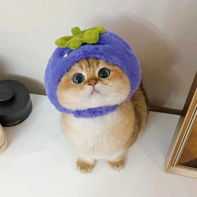 Большой, гиковый, соляновый